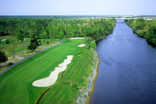 Experienced Golf Director