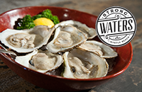 Strong Waters Craft Cocktails & Kitchen title