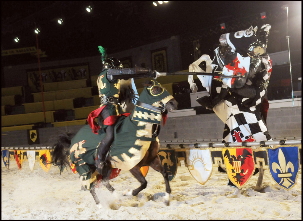 Medieval Times Horses Running