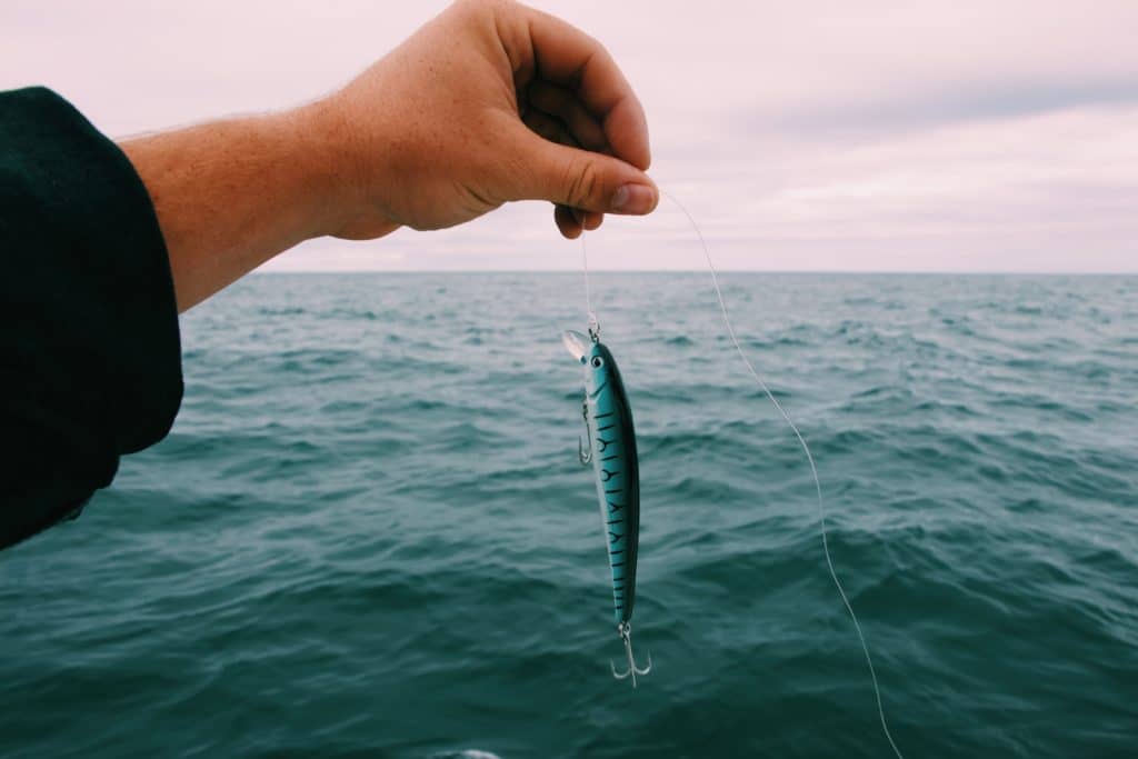 Fishing Bait on Line