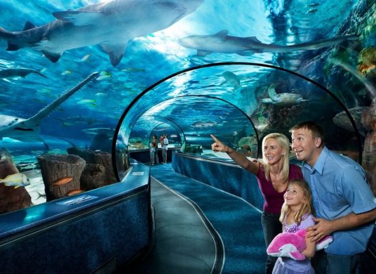 Family look at fish and sharks in aquarium tank