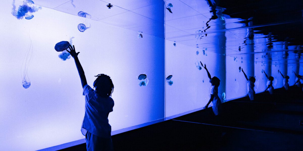 RipleysAquarium-5