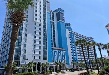 Caribbean Building Front with Palm Tree