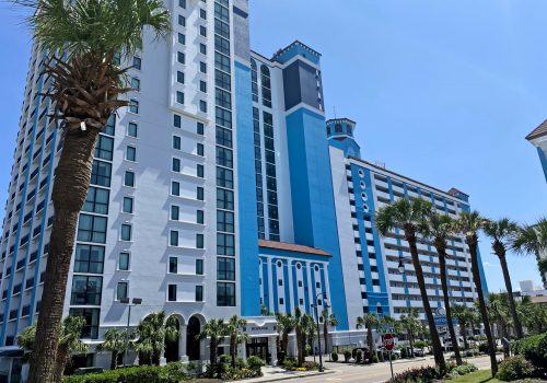 Caribbean Building Front with Palm Tree