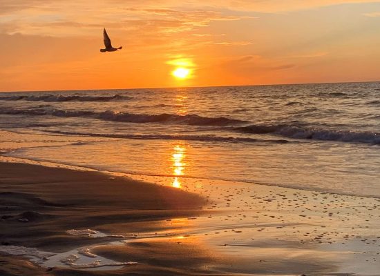 sunrise over the ocean